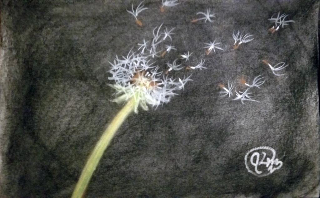 Dandelion - Charcoal