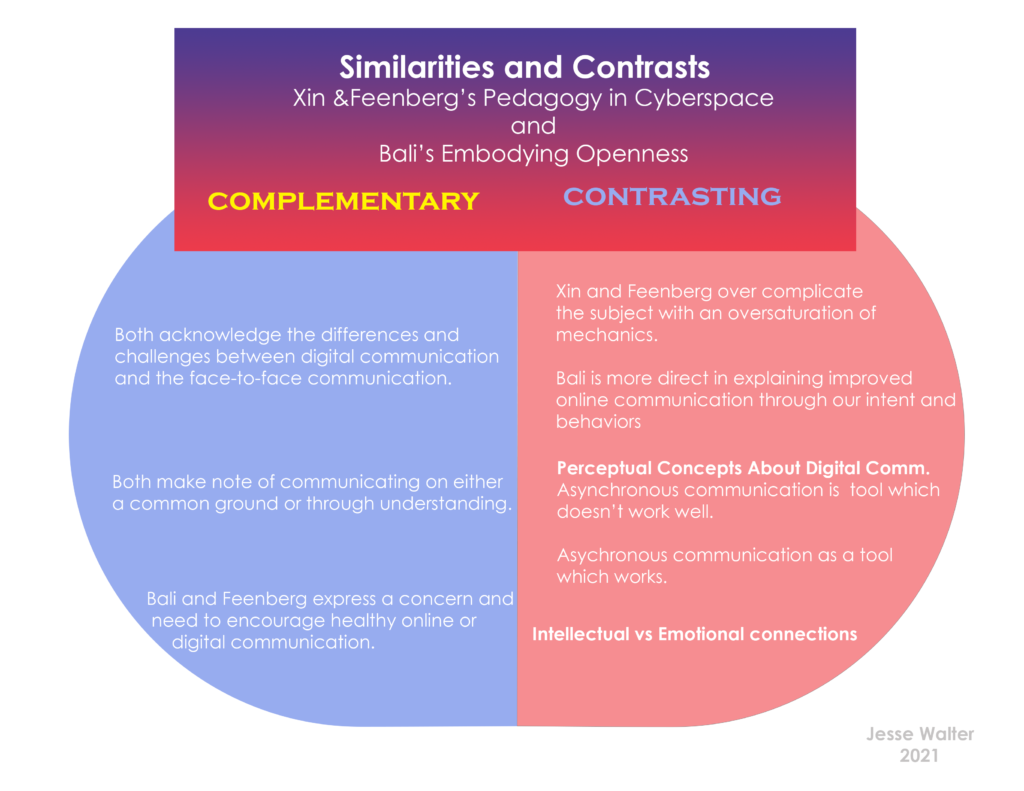 Similarities and Contrasts of Xin and Feenberg's Pedagogy in Cyberspace