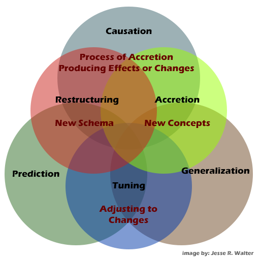 Venn Diagram - Conceptualizing Empirical and Schema